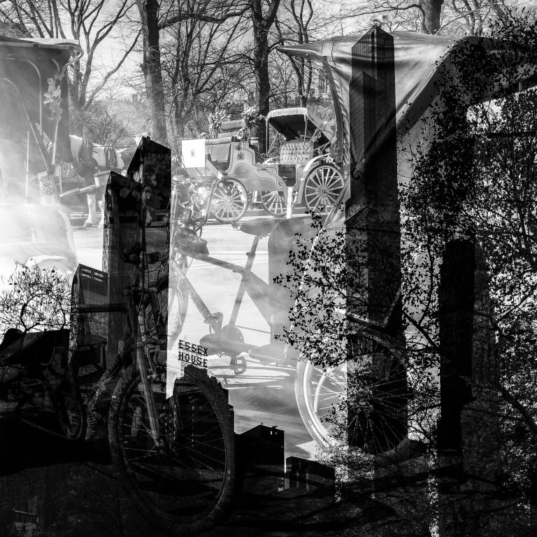 New-York-Oniric-Central-Park-enigmatic