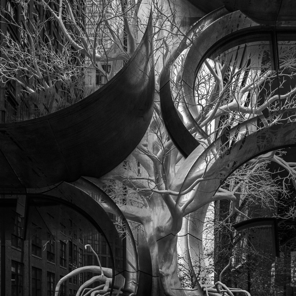 New-York-Oniric-Wicona-Building,-Zaha-Hadid-&-Old-Tree,-Pamela-Rosenkranz