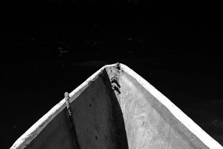 Pacifico-24