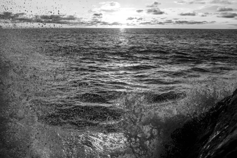 Pacifico-29