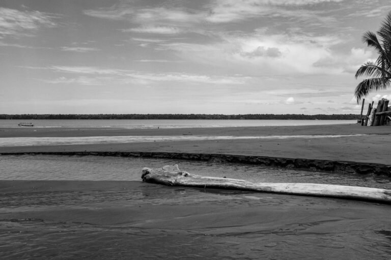 Pacifico-40