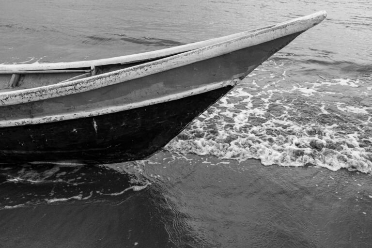 Pacifico-6